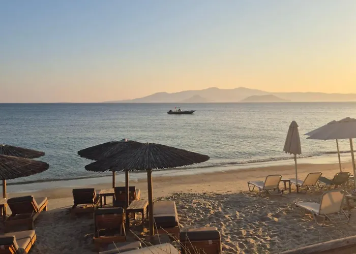 Stelios On The Vandrerhjem *